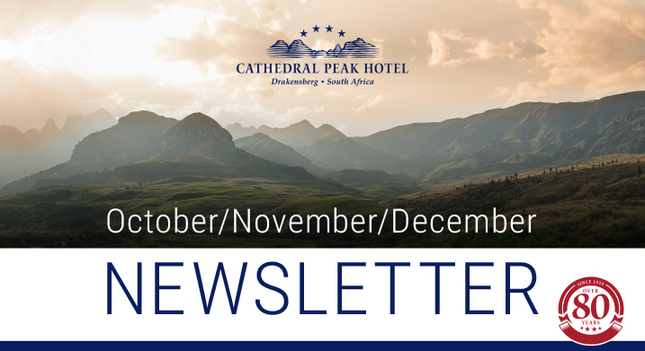October, November, and December newsletter banner
