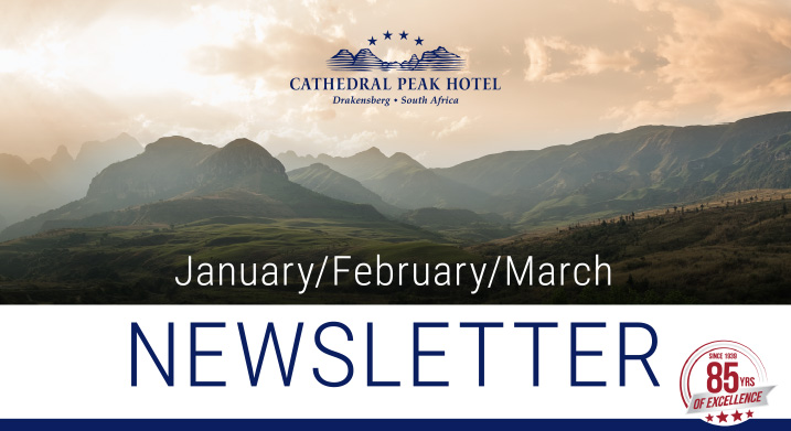 January, February, and March newsletter banner