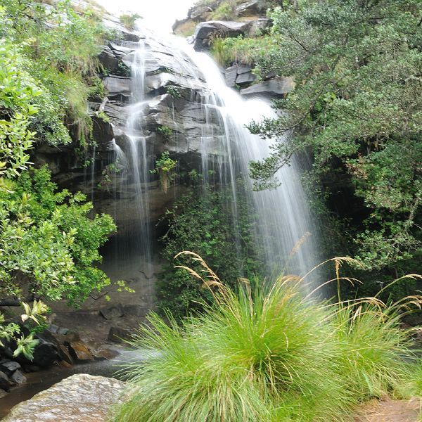 Cathedral Peak 4 Challenge - Doreen Falls
