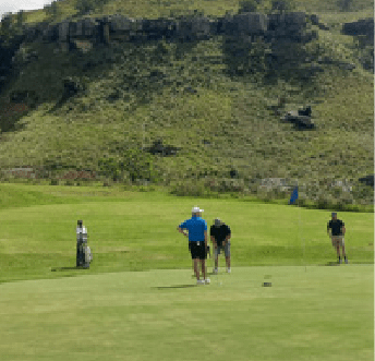 Men playing golf