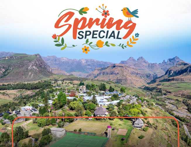 Spring Special