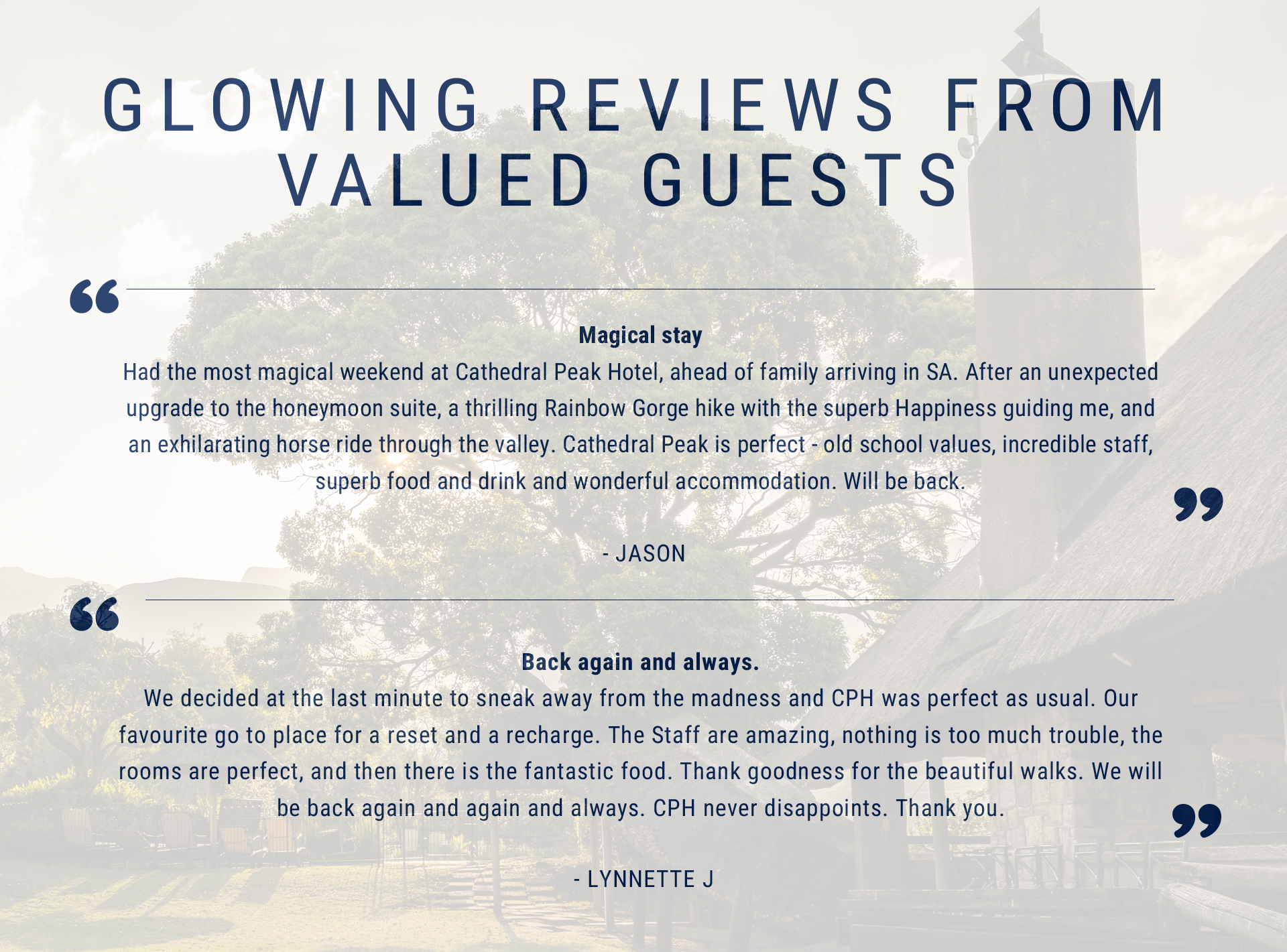 Guest reviews