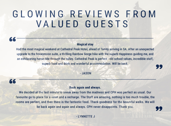Guest reviews