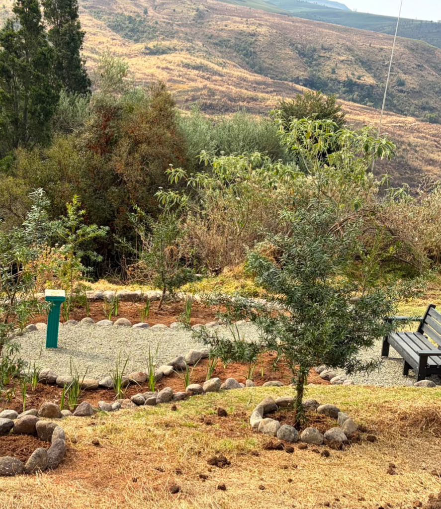 View point