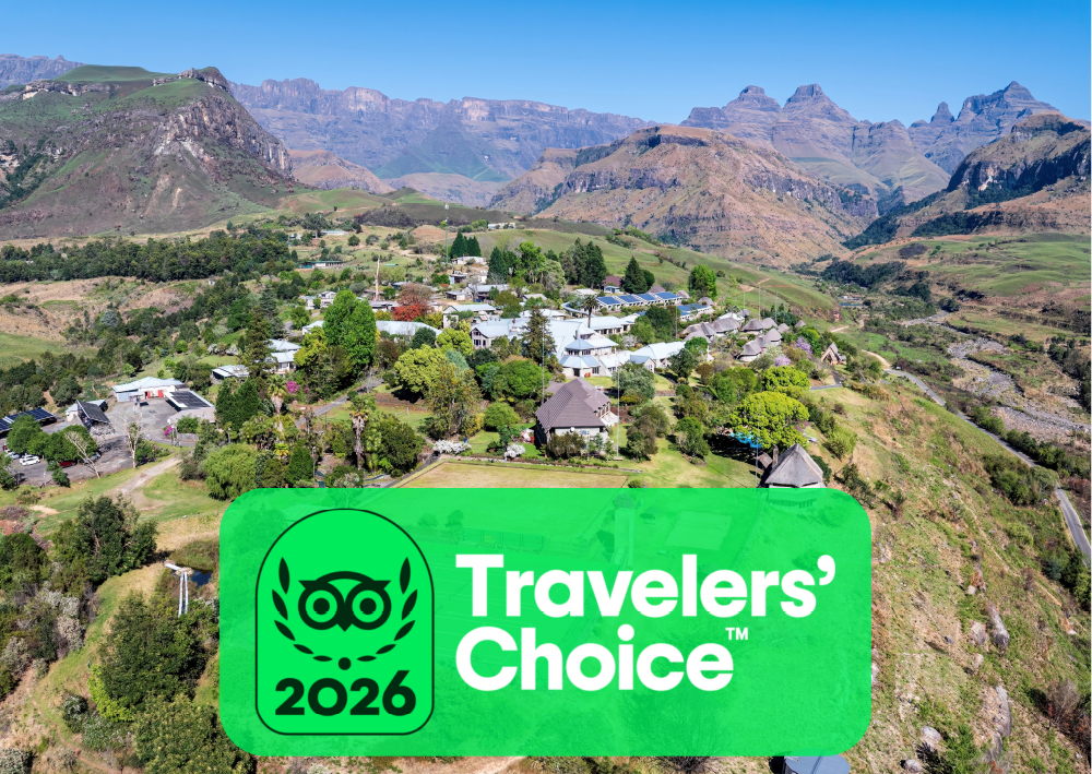 Travelers's choice