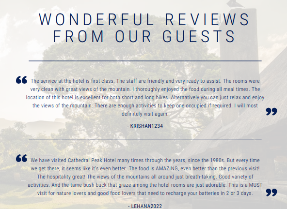 Reviews from our guests