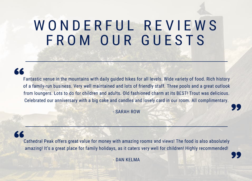 Guest reviews